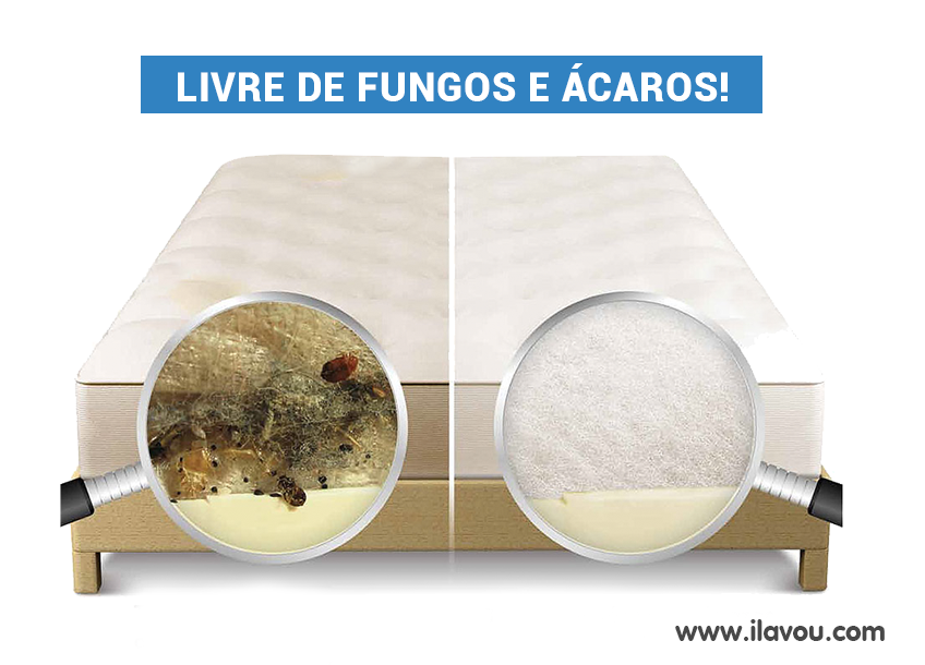 Lavagem de colch&otilde;es &agrave; domic&iacute;lio